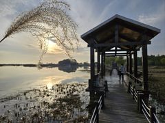 -苏州太湖湖滨国家湿地公园