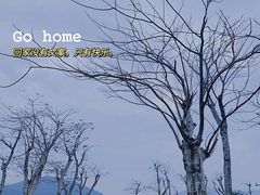 -芒洲湿地公园