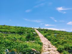 -阳台山自然风景区