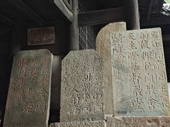 -青林口古镇