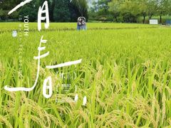 -北坞公园