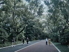 -南宁南湖公园