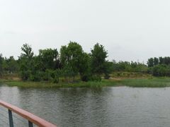-东郊湿地公园