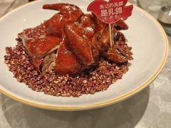 -朱记乳鸽王·非遗石岐乳鸽·全鸽宴(大兴旗舰店)