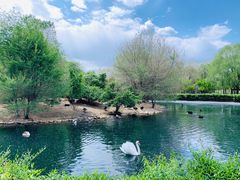 -长白岛森林公园