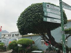 -大澳渔村及棚屋