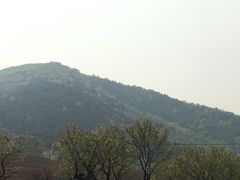 -长兴太湖图影湿地文化园