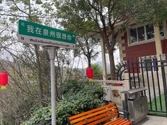 -清境桃源