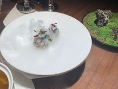 -觀芷隐轩