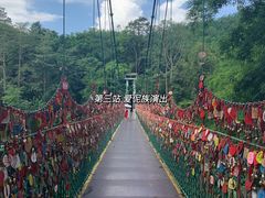 -西双版纳原始森林公园