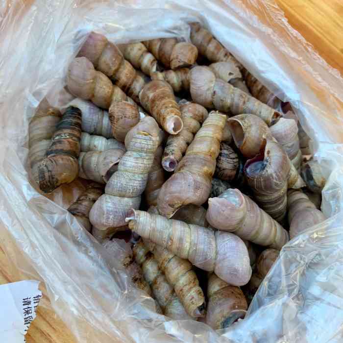 螺仔-"在啊树卤料旁边,对面鲤城教育局,老板说他."-大众点评移动版