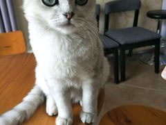 -青春加萌照相馆