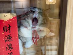 -白兔子密室(长寿路店)