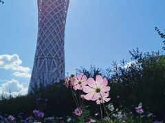 -上海滨江森林公园