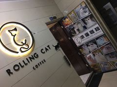 门面-滚猫咖啡·猫咖·猫友好撸猫(未来城店)