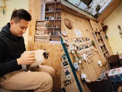 -猫色咖啡·猫咖