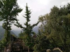 -九峰山