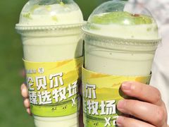 -茉酸奶(春熙路店)