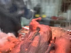 -杨震卤菜旗舰店