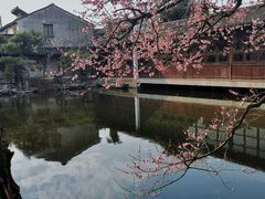 -艺圃