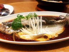-宁波柏悦酒店·钱湖渔港