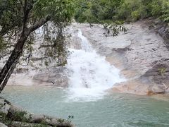 -海南霸王岭国家森林公园