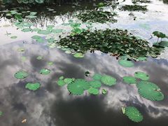 -长兴太湖图影湿地文化园