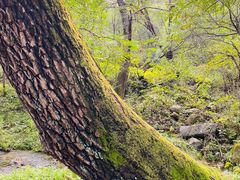 -玉渡山自然风景区