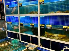 -金龙·打边炉(南京西路店)