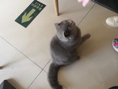 -平行世界·猫咖(首经贸店)