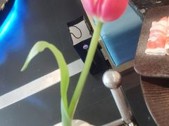 -王家渡火锅店(棕榈泉店)