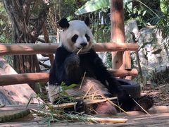 -深圳野生动物园
