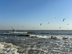 -老虎石海上公园