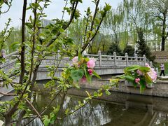 -元大都城垣遗址公园