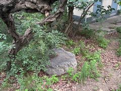 -狼牙山风景区