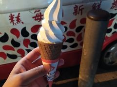 -富豪雪糕车流动点(尖沙咀店)