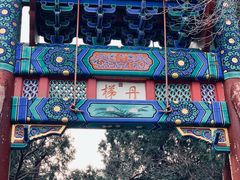 -香山公园