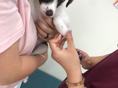 -美联众合动物医院·24h京西诊疗中心