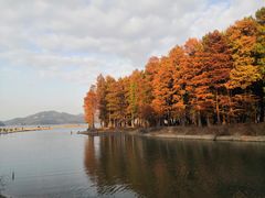 -四明湖
