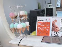 -野人先生现做冰淇淋(北京顺义祥云小镇店)