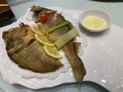 -骏莱海鲜鱼港(五角场店)