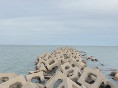 -东疆建设开发纪念公园