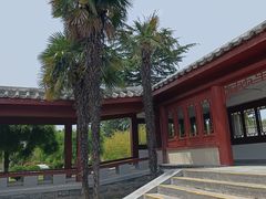 -洛阳古墓博物馆