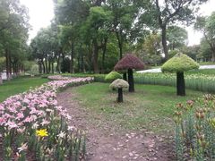 android_upload_pic-上海鲜花港