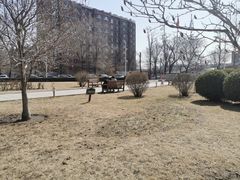 -北京德尔康尼骨科医院