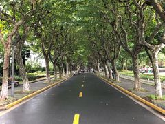 -复旦大学光华楼