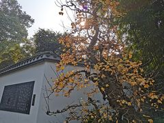-成都杜甫草堂博物馆