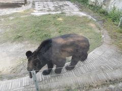 -黔灵山公园