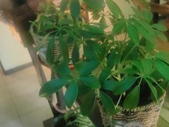 -可口香·非遗老号烧烤(南岗直营店)