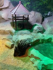 -酷嗒动物文化乐园(cutezoo西溪乐天城店)